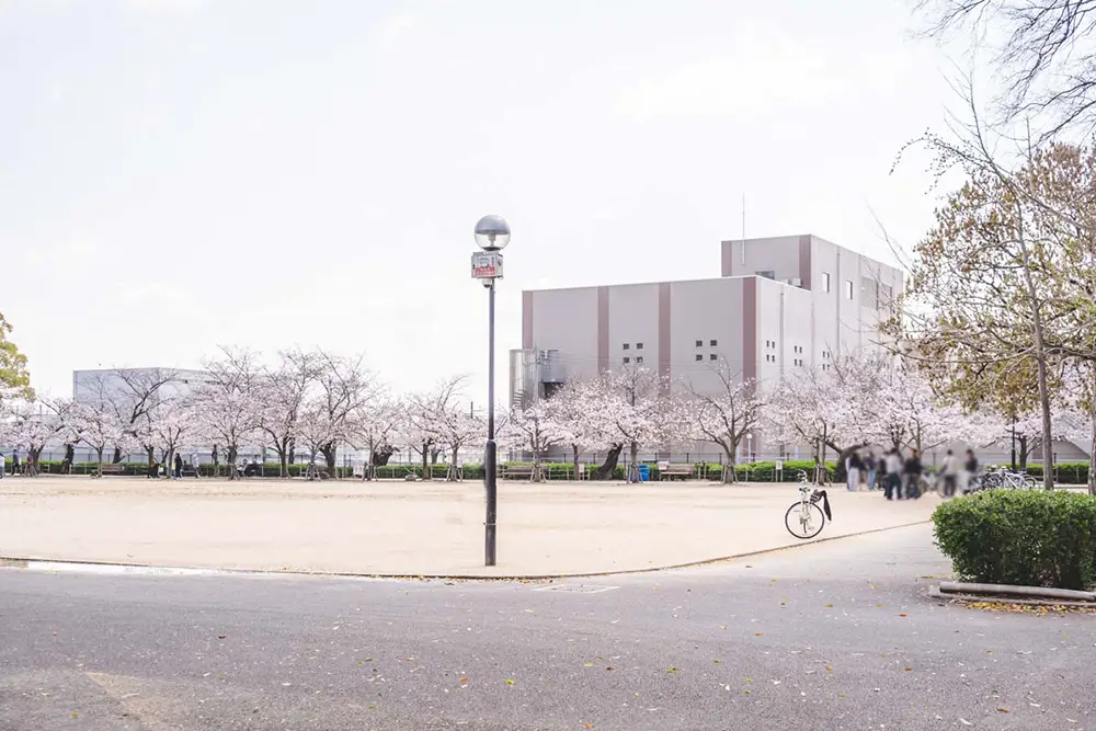 昆陽池公園　多目的広場