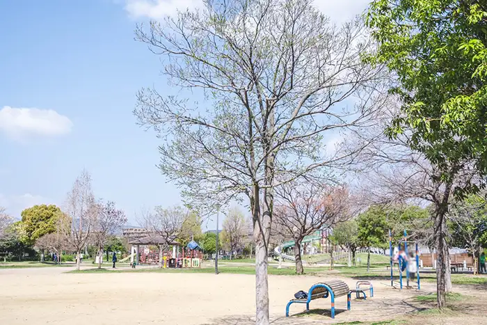 昆陽南公園　遊具