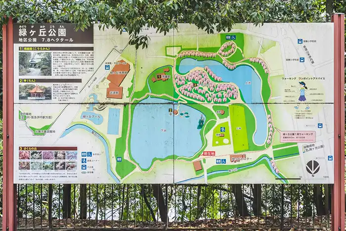 緑ヶ丘公園　園内の地図