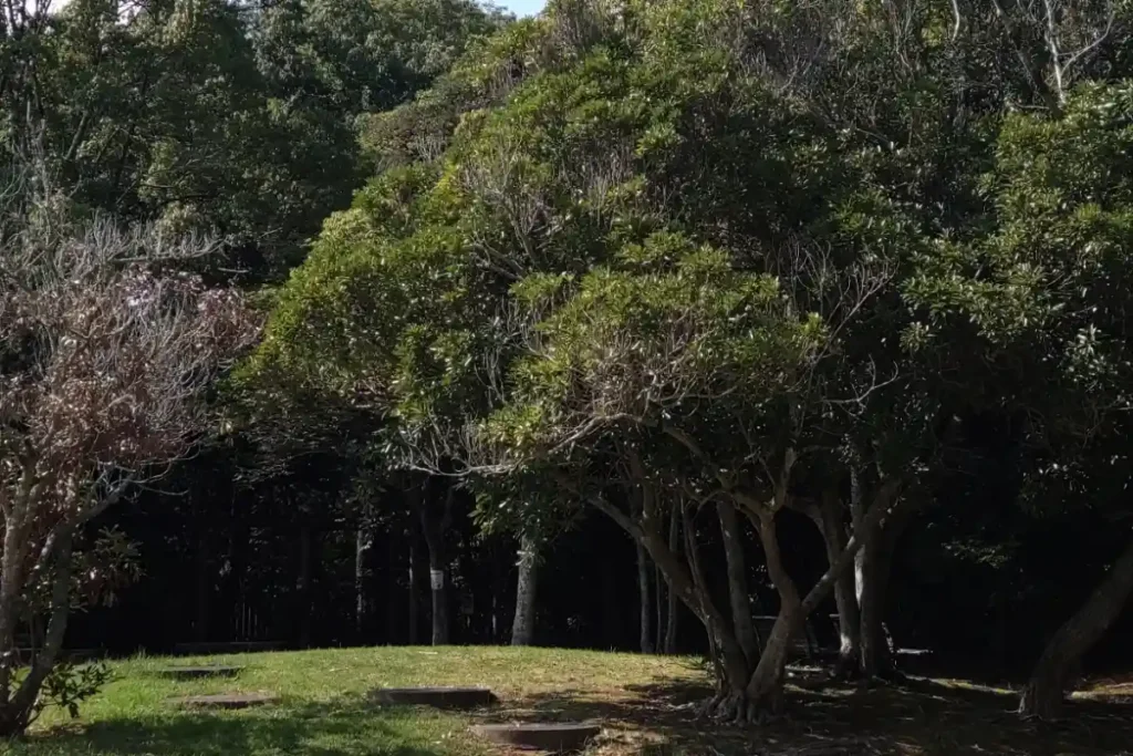 深山池公園の敷地内