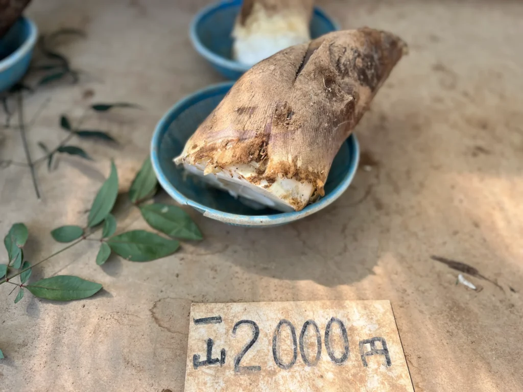 長岡京直売所の筍