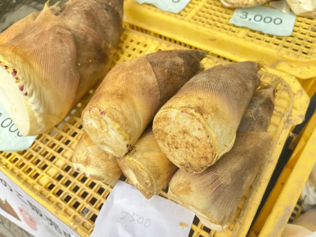 長岡京観光案内所 筍販売