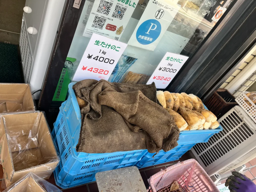 長岡京　小川食品工業　 筍販売