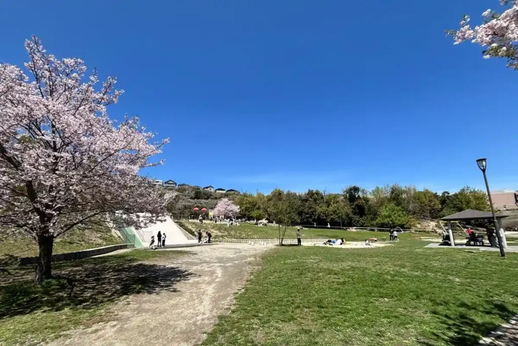 彩都なないろ公園 全景