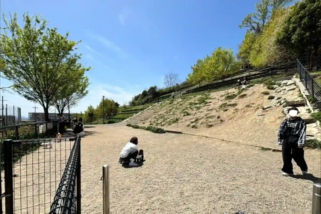 彩都なないろ公園 ドッグラン