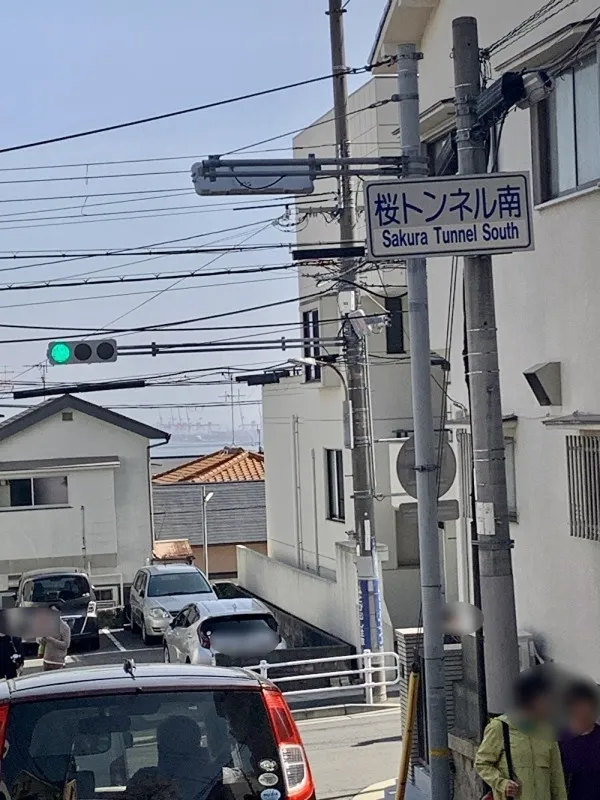 桜トンネル４