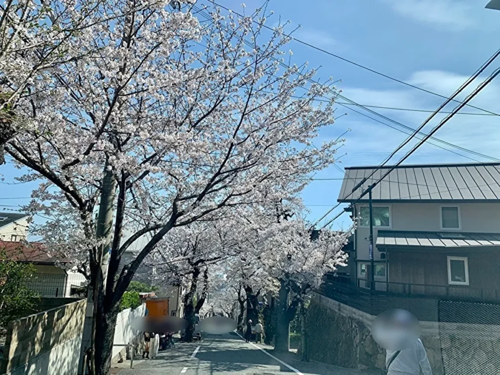 桜トンネル　メイン