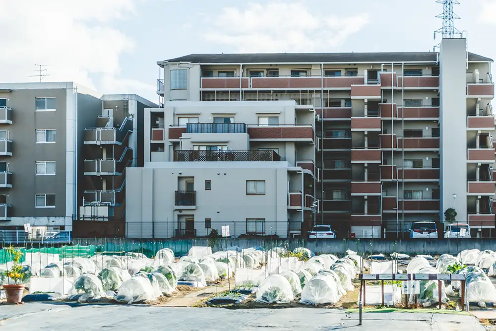 シェア畑 一面畑