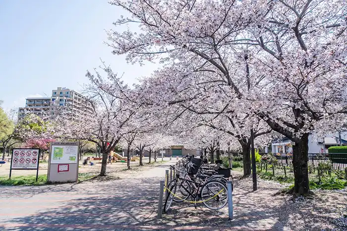 笹原公園　入口