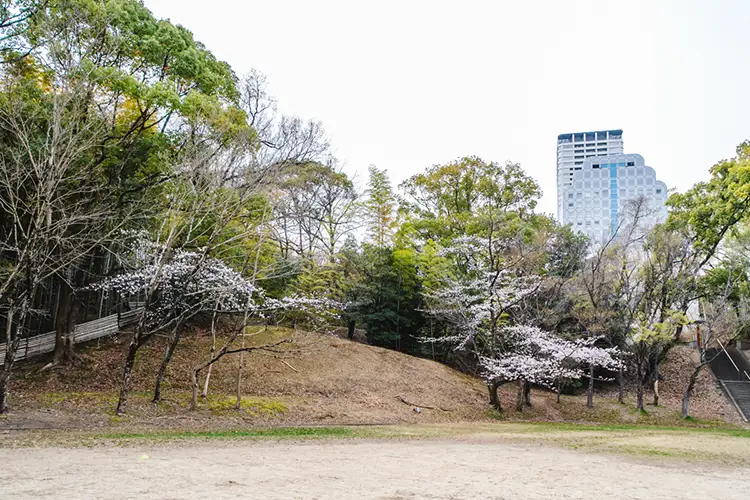 千里東町公園　桜3