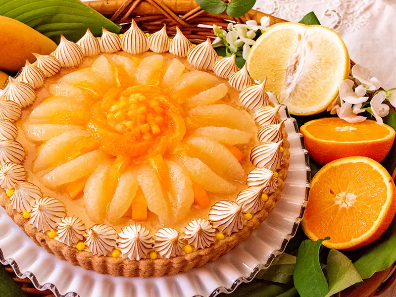 CITRUSフェア　柑橘とマンゴーの甘酸っぱいレアチーズタルト