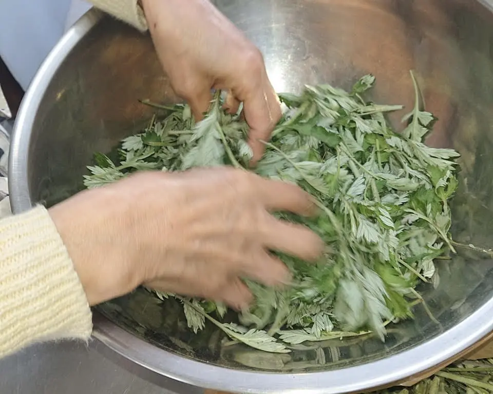 よもぎや　生のよもぎ　洗い
