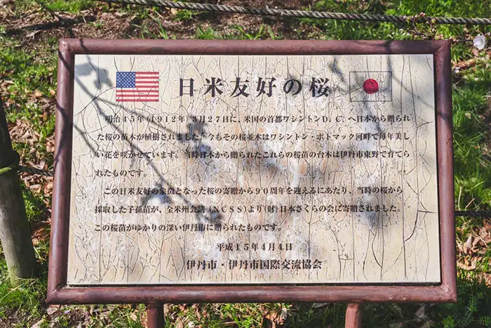 瑞ケ池公園　里帰りの桜看板