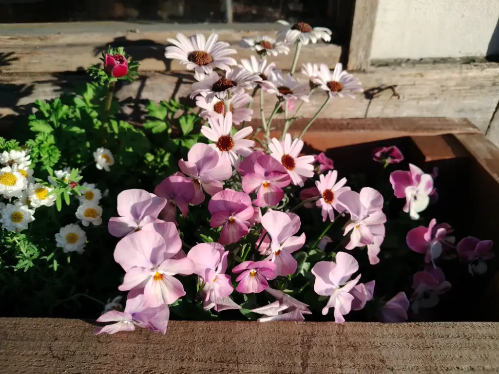 ZUTTO COFFEEの花壇