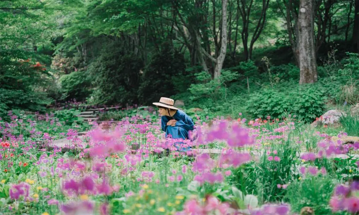 灘区「六甲高山植物園」新緑と彩り豊かな花々が見頃です♪