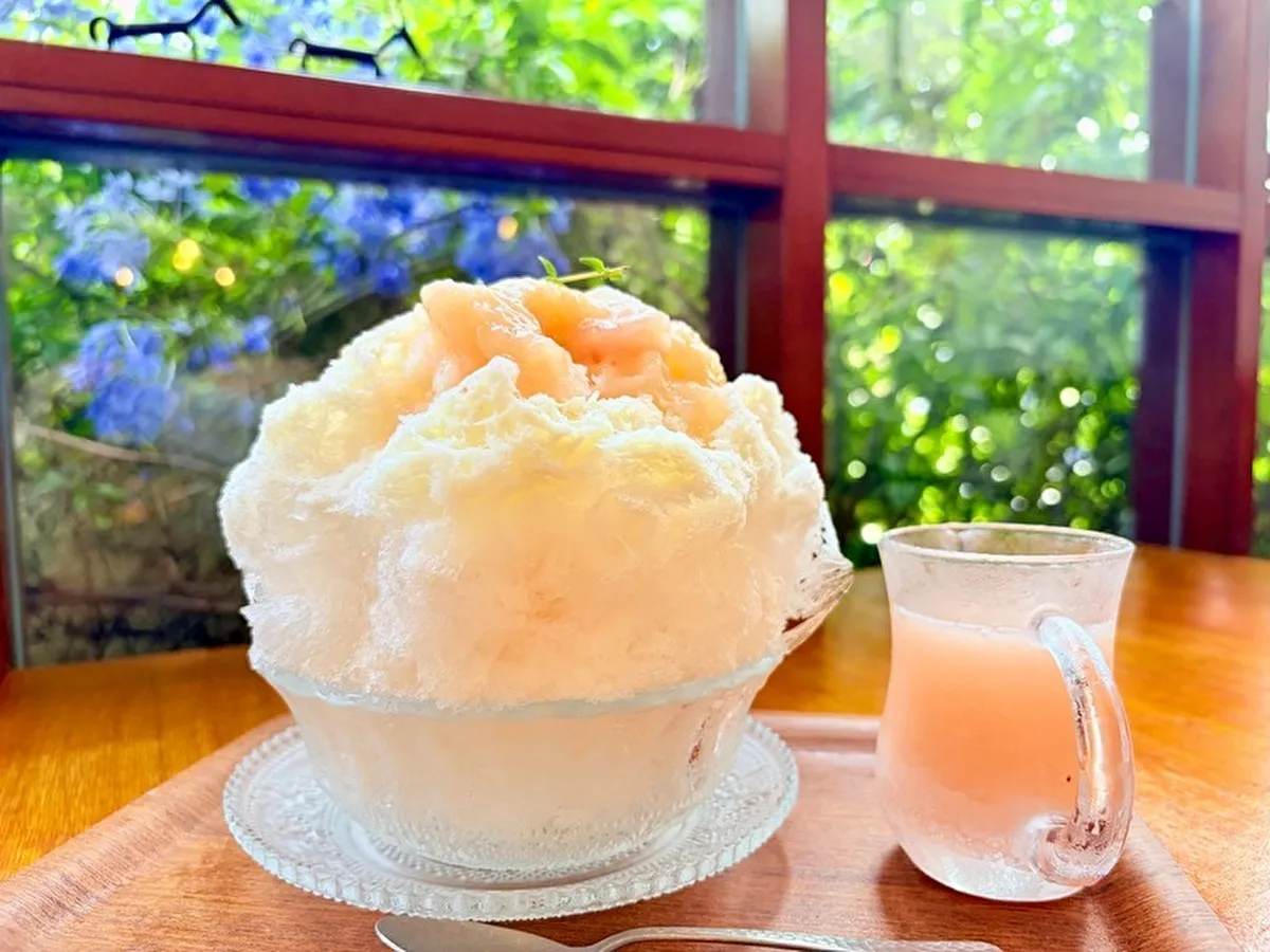 【灘区・王子公園】「Nim.cafe」大人気かき氷！7月から桃ミルク登場